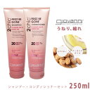 《今だけ！店内全品ポイントアップ》ジョバンニ フリッズビーゴーン シャンプー コンディショナー セット 250ml giovanni FRIZZ BE GONE ジョヴァンニ ダメージケア 補修 コスメ オーガニック ピンク ダメージ 広がり ケア【航空便対象外商品】【ラッピング対象外】