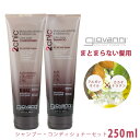 ジョバンニ ウルトラスリーク シャンプー コンディショナー セット 250ml (giovanni 2chic bk ao ultra-sleek shampoo conditioner 18359) ジョヴァンニオーガニック コスメ ブラジリアンケラチン モロッカン アルガンオイル 【航空便対象外商品】【ラッピング対象外】