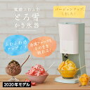 【限定クーポン配布】2020年型 かき氷機 電動 ふわふわ とろ雪 DTY-20 かき氷器 ドウシシャ 夏物家電 [開封後 返品不可] 電動式 とろゆき かき氷器 台湾風 カキ氷 カキ氷機 カキ氷器 スイーツ 誕生日 プレゼント ギフト