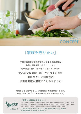 【今だけクーポン配布中】ウイレスセブン 300ml 次亜塩素酸水 水溶液 手指消毒 スプレー 消臭 除菌 カビ対策 手 指 マスク カビ除去 除菌剤 ウイルス対策 予防 流行 アウトドア オフィス 会社 学校 旅行 弱酸性 誕生日 プレゼント ギフト