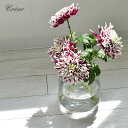 【今だけクーポン配布中】フラワーベース 花びん クレエ シナリーベース B 花瓶 CREER 92180002 ガラスベース 雑貨 ガーデニング 水差し 花 ビン シンプル ガラス瓶 ガラスビン クリア 透明 ギフト おしゃれ 誕生日 プレゼント【ラッピング対象外】(3)