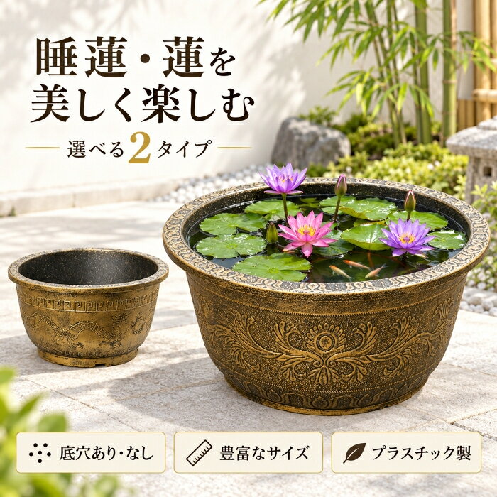 楽天市場】蓮（植木鉢・プランター｜ガーデニング・農業）：花