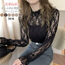 30%OFF!【1点1,085円!2点ご購入&クーポンで】 シアートップス 肌隠し レースネック レースカットソー カットソー ファンデーションインナー シース...