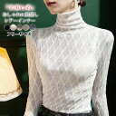 30%OFF!【1点1,673円!2点ご購入&クーポンで】 シアートップス 肌隠し レースネック レースカットソー カットソー ファンデーションインナー シースルー インナー チュールトップス ハイネック 気になる露出をカバー レディース