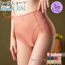 3枚セット 総レースショーツ レディース ショーツ セット パンツ 下着 女性 かわいい おしゃれ シームレス 女性下着 美尻 無地 レディースファッション パ...
