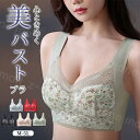 ナイトブラ ノンワイヤーブラ 新作 ブラ単品 薄手 レディース カップ付き 女性 美胸 背中 すっきり 下着 快適 寝るとき 日中 夜用 おやすみブラ