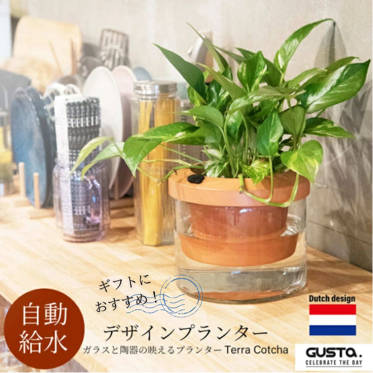 【スーパーセール限定10%off!】GUSTA グスタ Terra Cotcha 自動給水 プランター 植木鉢 鉢 室内用 素焼きテラコッタ ガラス 鉢カバー インテリア おしゃれ スタイリッシュ 雑貨 引越祝 ギフト…