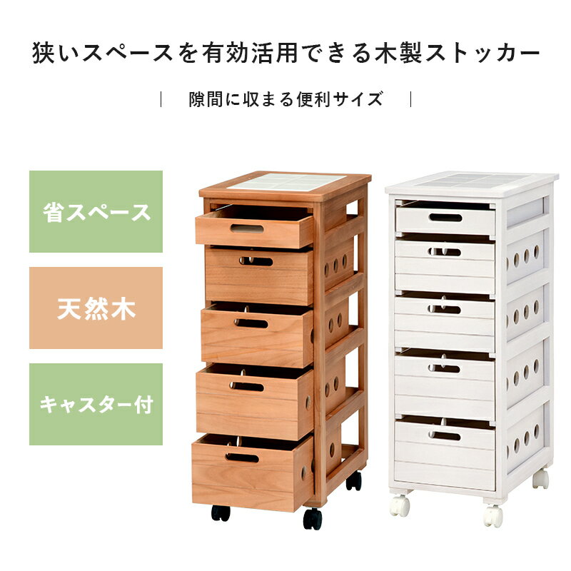 ���ȥå���-MUD-�����Ф�5��-�����ʤ� 30��40��79cm