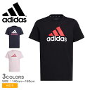 y䂤pPbgzz AfB_X U BOS 2 TVc TVc LbY WjA q ubN  lCr[  ADIDAS ECN72 gbvX uh vg X|[eB N[lbN  JWA S Vv Xg[g bNX  sN