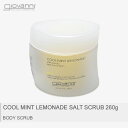 GIOVANNI ジョヴァンニ ボディスクラブ ミント レモネード 返品不可クールミントレモネード ソルト スクラブ 260g COOL MINT LEMONADE SALT SCRUB 260g【航空便対象外商品】 【ラッピング対象外】