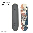 ybsOΏۊOz gbNX XP[g gbNX hS 7.75~31.60 Rv[g XP[g{[h XP[g{[h Y fB[X ubN  }`J[ TRICKS SKATE TRICKS DRAGON 7.75~31.60 COMPLETE SKATEBOARD TRCO0022A