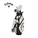 【キャロウェイ】(Callaway) クラブセット メンズ WARBIRD ウォーバード 2019 (10本セット, キャディバック, ヘッドカバー 付き) カーボンシャフト