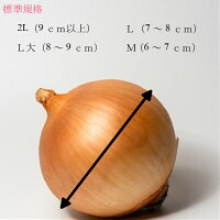 北海道産たまねぎLサイズ10kg送料無料贈り物ギフトプレゼントお歳暮クリスマス北海道北海道野菜北海道の味覚玉ねぎ玉葱タマネギオニオン常備野菜保存野菜オニオンスープ