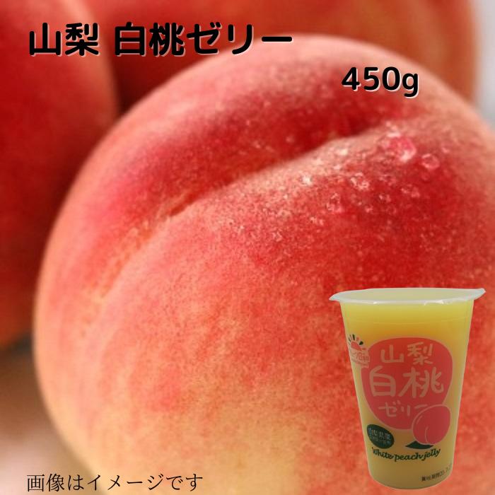  ꡼450g ̵ £ʪ ץ쥼  ﲹ  ե ե ӥå  ǥ꡼ ꡼     