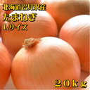 北海道産 たまねぎ Lサイズ 20kg (10kg箱×2箱） 送料無料 贈り物 ギフト プレゼント 北海道 北海道野菜 北海道の味覚 玉ねぎ 玉葱 タマネギ オニオン 常備野菜 保存野菜 オニオンスープ クリスマス お歳暮 冬ギフト