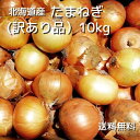 北海道産 たまねぎ （訳あり品） 10kg 送料無料 サイズお任せ 自家用 北海道 北海道野菜 北海道の味覚 玉ねぎ 玉葱 タマネギ オニオン 常備野菜 保存野菜 オニオンスープ