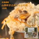 北海道産原料使用 山菜炊き込みごはんの素 2合炊 送料無料 贈り物 プレゼント 北海道 北海道野菜 北海道の味覚 炊き込みご飯 釜めし ごはん かやくごはん お取り寄せ ご当地 ギフト ギフト用 2合