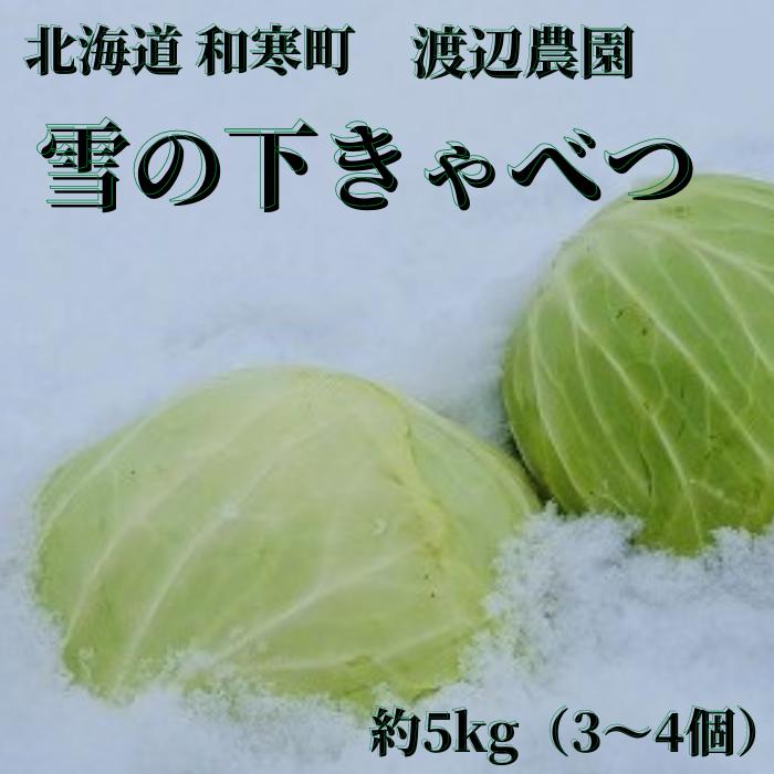 越冬キャベツ 北海道 和寒町産 雪の下きゃべつ 約5kg（3〜4個） 送料無料 北海道の冬野菜 冬野菜 雪の下 和寒町 和寒 きゃべつ キャベツ