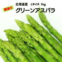 【予約商品】北海道産 グリーンアスパラガス（訳あり品）Lサイズ 1kg （500g×2袋） 送料無料 ギフト ギフト用 贈り物 プレゼント 北海道 北海道野菜 北海道旬の味覚 父の日 訳あり あすぱら ネット