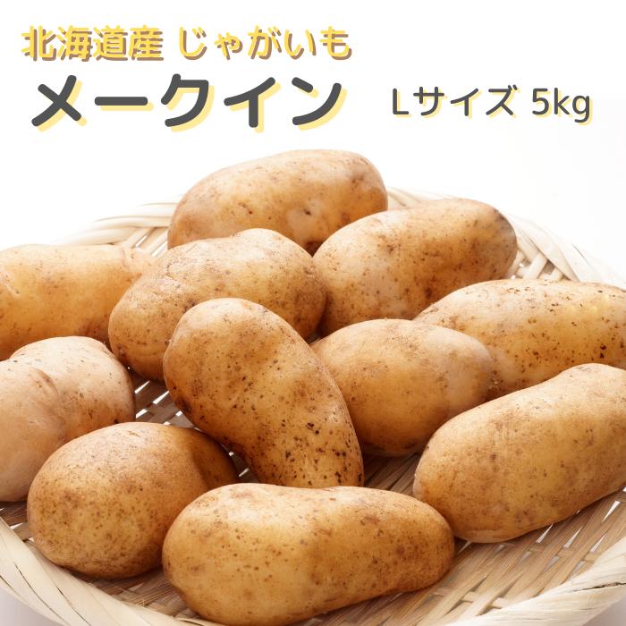 【予約商品】北海道産 じゃがいも メークイン Lサイズ 5Kg 送料無料 ギフト 贈り物 北海道野菜 ポテトサラダ フライ…