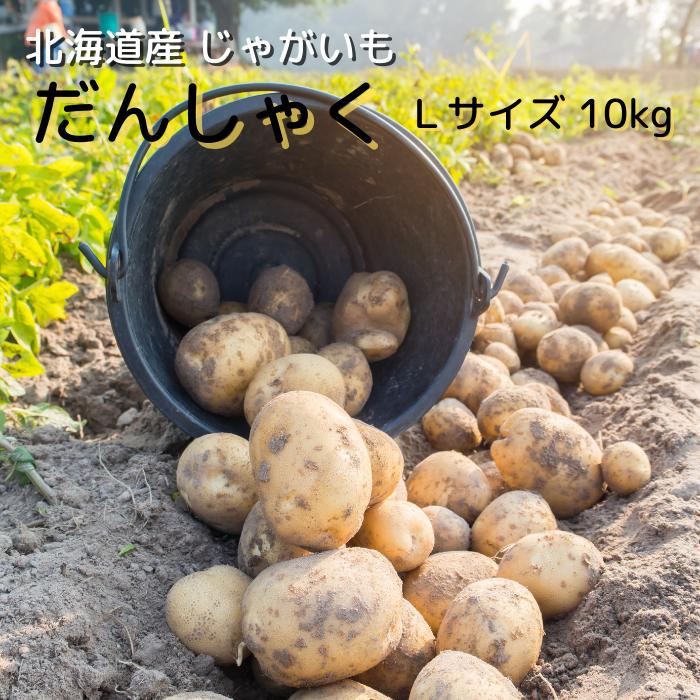 【予約商品】北海道産 じゃがいも だんしゃく Lサイズ 10Kg 送料無料 ギフト 贈り物 北海道野菜 ポテトサラダ フライドポテト カレー 肉じゃが 男爵 男爵芋