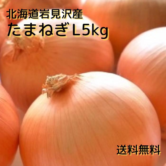 【予約商品】北海道 岩見沢産 たまねぎ Lサイズ 5kg　送料無料 贈り物 ギフト プレゼント 北海道 北海道野菜 北海道の味覚 玉ねぎ 玉葱 タマネギ オニオン 常備野菜 保存野菜 オニオンスープ