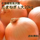 【予約商品】北海道産 たまねぎ L大サイズ 20kg（10kg箱×2箱）　送料無料 贈り物 ギフト プレゼント 北海道 北海道野菜 北海道の味覚 玉ねぎ 玉葱 タマネギ オニオン 常備野菜 保存野菜 オニオンスープ