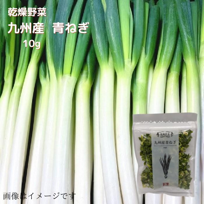 乾燥野菜 九州産 青ねぎ 10g 送料無料 長期保存 常温 乾燥 乾燥野菜 野菜 簡単便利 時短 ねぎ 長ネギ ..