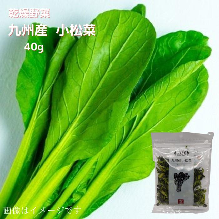 乾燥野菜 九州産 小松菜 40g 送料無料 長期保存 常温 乾燥 乾燥野菜 野菜 簡単便利 時短 小松菜