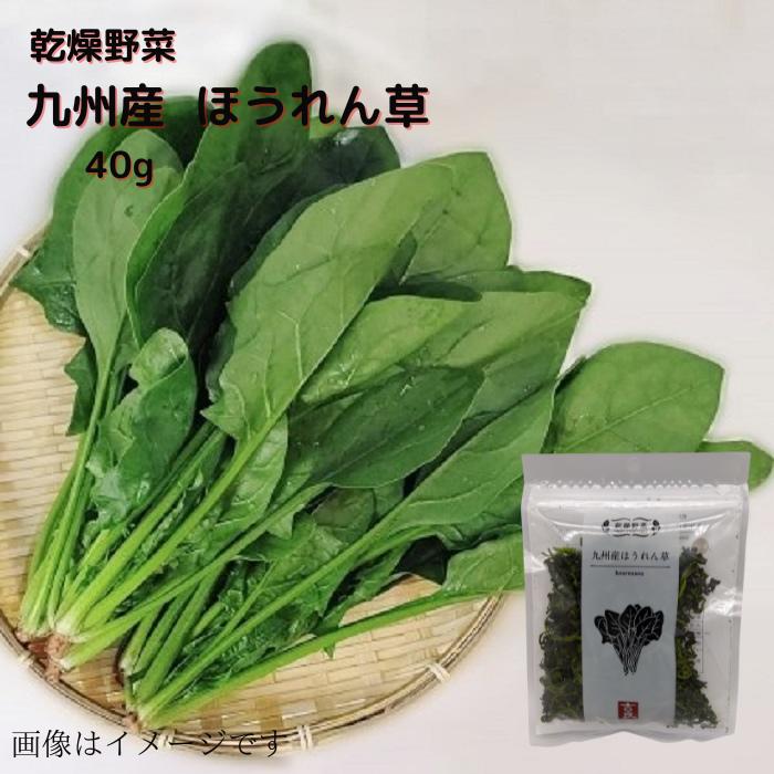 乾燥野菜 九州産 ほうれん草 40g 送料無料 長期保存 常温 乾燥 乾燥野菜 野菜 簡単便利 時短 ほうれん草