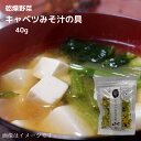 乾燥野菜 味噌汁の具 40g 送料無料 長期保存 常温 乾燥 乾燥野菜 野菜 簡単便利 時短 味噌汁 みそ汁