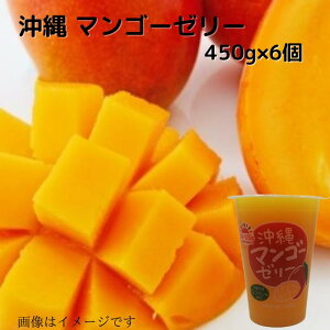 沖縄 マンゴーゼリー450g×6個 送料無料 贈り物 プレゼント スイーツ 常温 お取り寄せ ギフト用 ギフト ビック ジャンボ デカゼリー ゼリー マンゴー まんごー 沖縄県