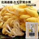 北海道産 たもぎ茸水煮 100g×6袋 送料無料 お取り寄せ 北海道 北海道野菜 長期保存 常温 水煮きのこ きのこ 水煮 水煮野菜 野菜 ご当地 たもぎ たもぎ茸 たもぎだけ タモギダケ タモギ茸 タモギタケ たもぎたけ