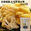 北海道産 たもぎ茸水煮 100g×2袋 送料無料 お取り寄せ 北海道 北海道野菜 長期保存 常温 水煮きのこ きのこ 水煮 水煮野菜 野菜 ご当地 たもぎ たも...