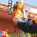 【ポイント3倍:マラソン期間限定】 【国際特許取得】 ロックジョー ラダーグリップ はしご 梯子 固定 クランプ ハシゴ 安定器具 雨樋 取り付け 取付 転落防...