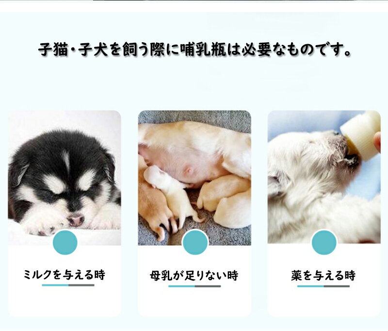 �ڥå� Ӯ���� �֥饷 �Ҹ� ��ǭ Ӯ���� �� ������ �ߥ륯���å� �ڥå� ������� ��ưʪ �ڥå��������� ������� �ڥåȤ��֤���� ���˥����Υڥå� �ߥ륯 �� ���ܺ� �� ���ο��� �֥饷�դ� �ꤢ�����դ�