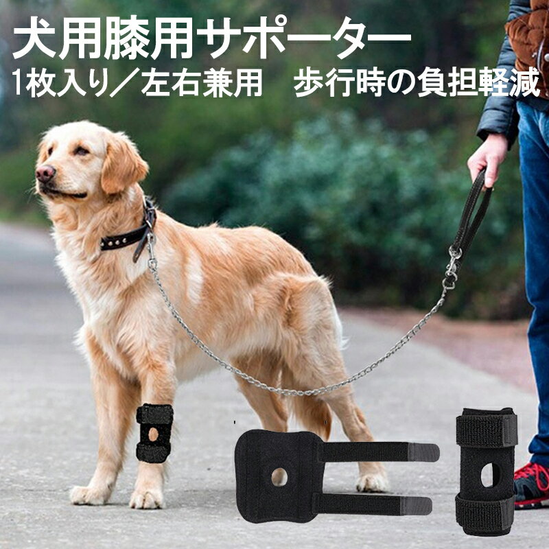 �� ���ݡ����� �ڥå� ���� ɨ ���� �ץ��ƥ����� ɨ ���� æ�� ���ݡ��� ���� �ݸ� ������� ­�ץ��ƥ����� �ݸ������� �̵��� ��� ���� ��ϥӥ� ...