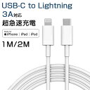 apple usb-c lightningケーブル 純正 アイ