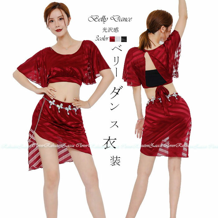 ベリーダンス 衣装 セット レッスン着 セットアップ ヒップスカーフ スカート 光沢感 ストレッチ メッシュ トップス 背中開き セクシー おしゃれ ダンス衣装...