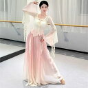 ダンス衣装 セットアップ レディース 長袖 メッシュ トップス ロング丈 シフォン パンツスカート フレアスカート 美しい ライン ふんわり ダンス 衣装 レデ...