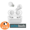 Echo Buds (エコーバッズ) グレーシャーホワイト 