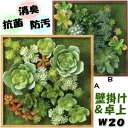 エクリア 木枠 クスエア L 消臭アーティフィシャルグリーン CT触媒加工 緑 kishima ボックス付き 人工観葉植物 抗菌 防汚 消臭 マイナスイオン ケ...