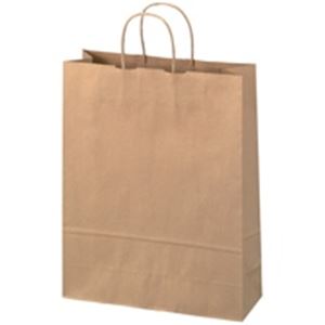 ジョインテックス 手提袋 丸紐 茶 大 300枚 B289J-B6[21]