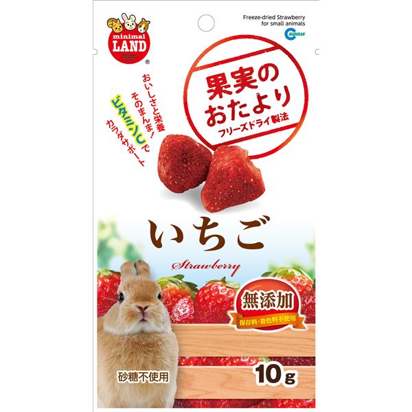 （まとめ）マルカン 果実のおたより いちご 10g 小動物用おやつ 【×5セット】[21]