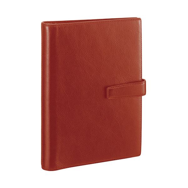 レイメイ藤井 ダヴィンチ システム手帳 スタンダード （A5） 20mm ブラウン DSA3002C[21]