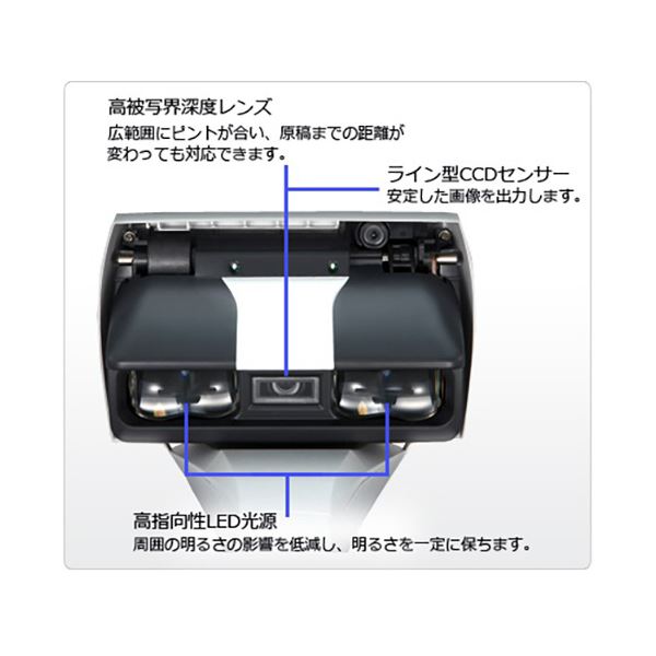 （まとめ買い）カシオ ネームランドテープ XR-24X 00012815 〔3個セット〕【北海道・沖縄・離島配送不可】