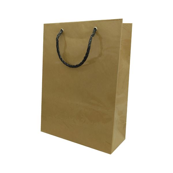 マツシロ 無地ビニールカバーバッグ クラフト 10枚 62MBC4[21]