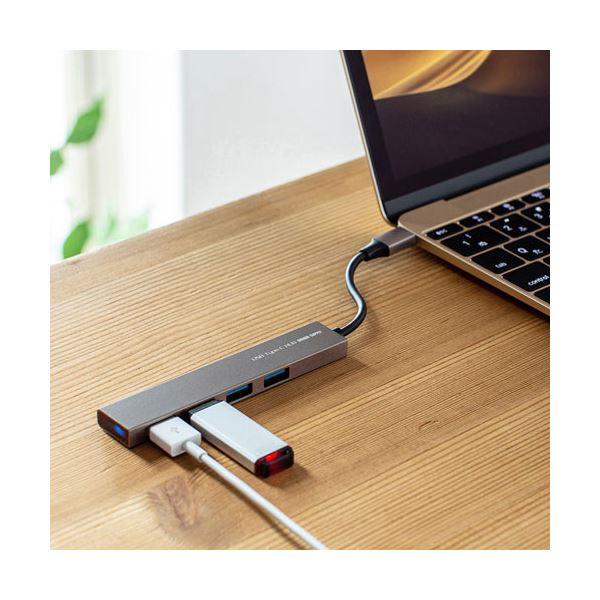 サンワサプライ USB Type-C 4ポートスリムハブ USB-3TCH25SN[21]