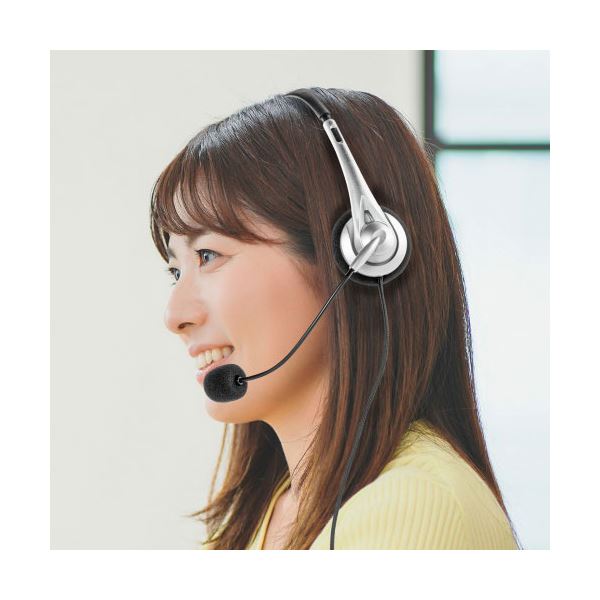 サンワサプライ USB TypeCヘッドセット MM-HSTC03SV[21]