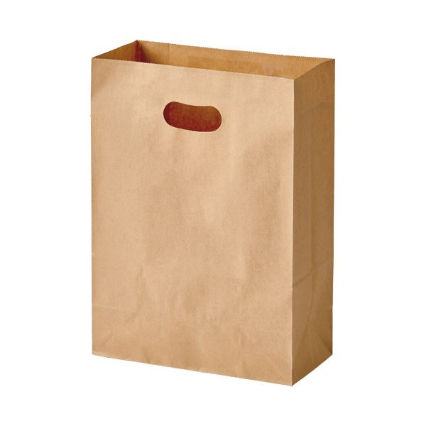 （まとめ）パックタケヤマ 手提げ紙袋 イーグリップ茶無地 L XZT52030 1パック(50枚)【×10セット】[21]